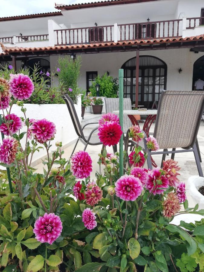 Hotel Paradise Vasilias  Exterior photo